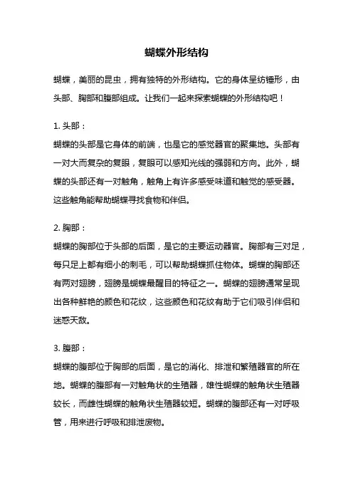 蝴蝶外形结构