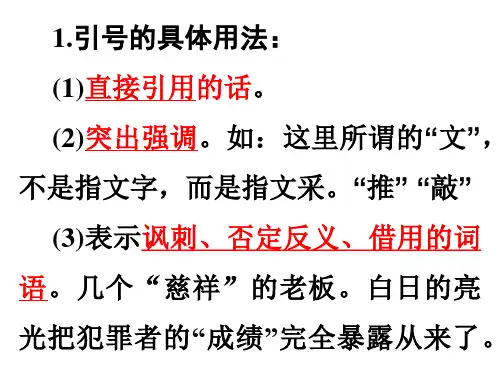 高考复习引号的用法.ppt