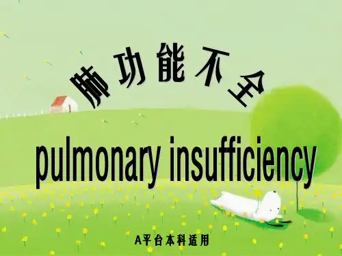 病理生理学14肺功能不全幻灯片PPT
