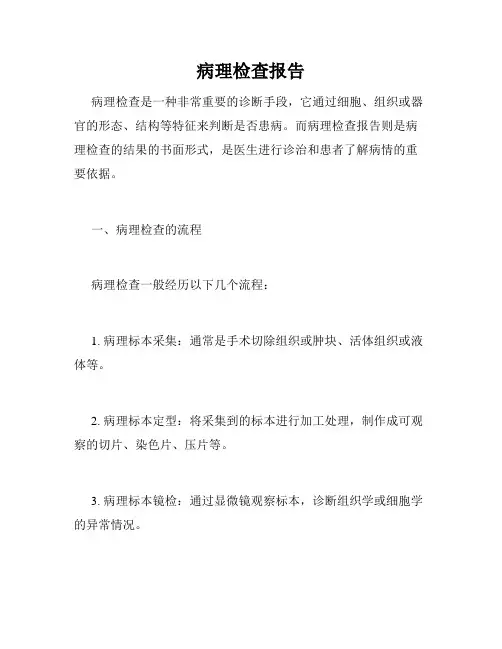 病理检查报告