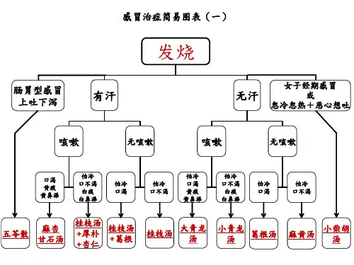 感冒治理简易图表