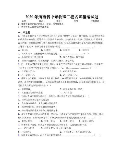 2020年海南省中考物理三模名师精编试题附解析
