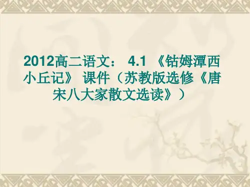 高二语文 4.1 《钴姆潭西小丘记》 课件(苏教版选修《唐宋八大家散文选读》)