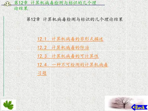 计算机系统安全(第2版)(章 (12)