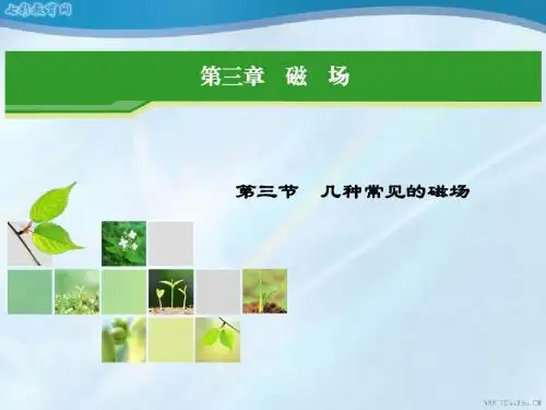 物理选修3-1人教新课标3.3几种常见的磁场课件.
