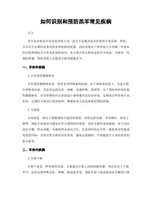 如何识别和预防羔羊常见疾病