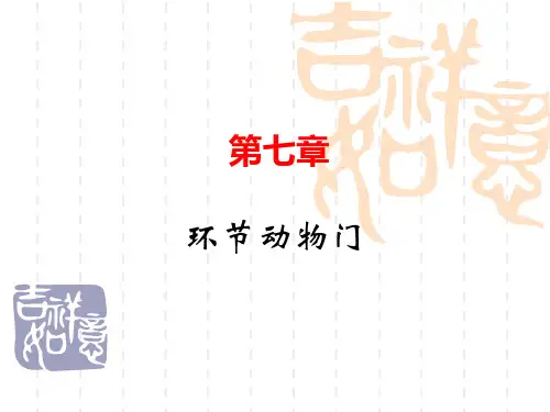 环节动物