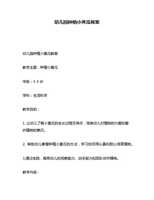 幼儿园种植小黄瓜教案