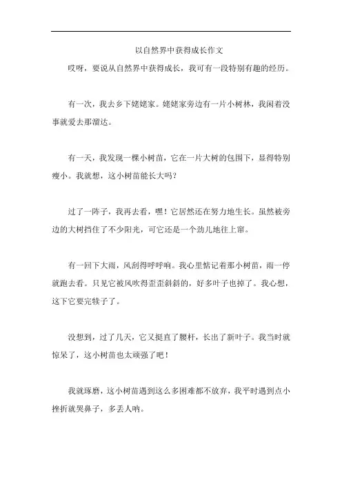 以自然界中获得成长作文