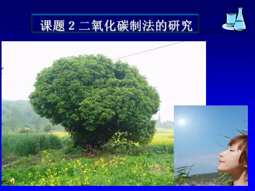 人教版九年级化学上册第六单元：二氧化碳制取的研究(13张ppt)
