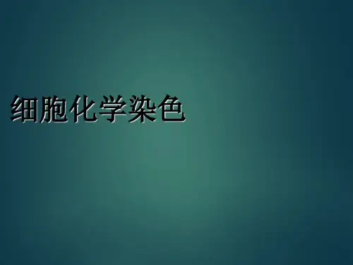 细胞化学染色