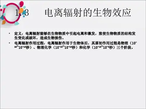 《核辐射安全与防护》PPT课件