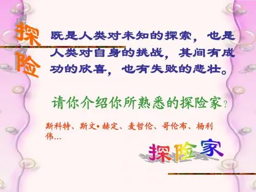 《真正的英雄》课件