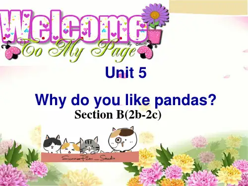 人教版七年级下册第五单元 Section B(2b-2c)课件(PPT16张)