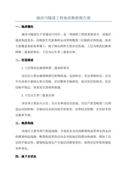潼洛川隧道工程地质勘察报告新