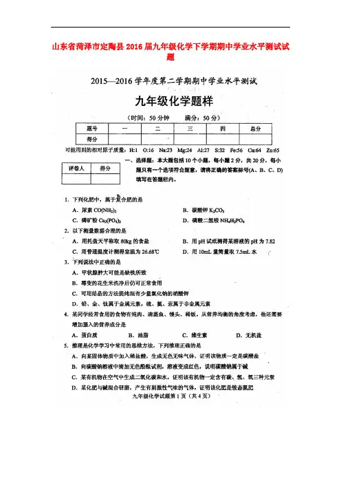 山东省菏泽市定陶县九年级化学下学期期中学业水平测试