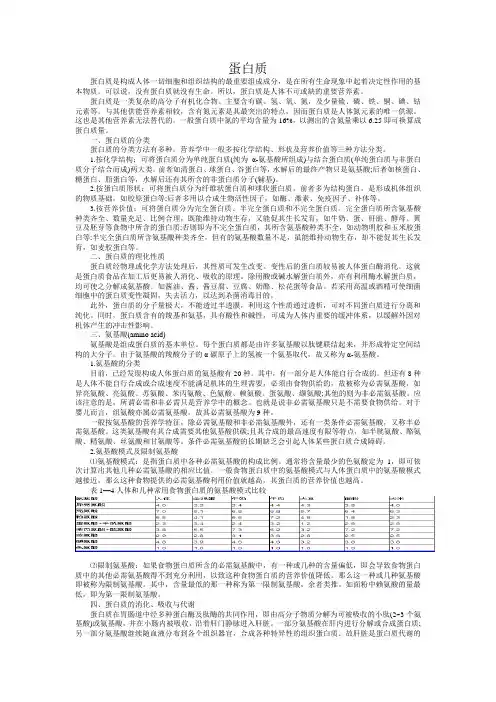 蛋白质