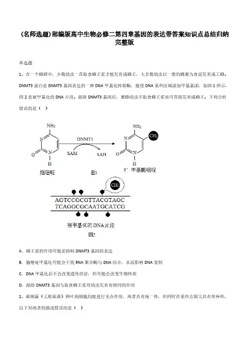 部编版高中生物必修二第四章基因的表达带答案知识点总结归纳完整版