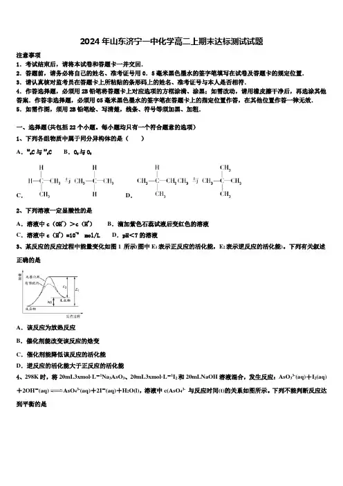 2024年山东济宁一中化学高二上期末达标测试试题含解析