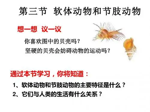 人教八年级生物上册课件：5.1.3软体动物和节肢动物(课件3)