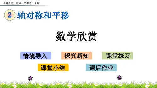 北师大版小学5年级数学上册第二单元(欣赏与设计)PPT教学课件