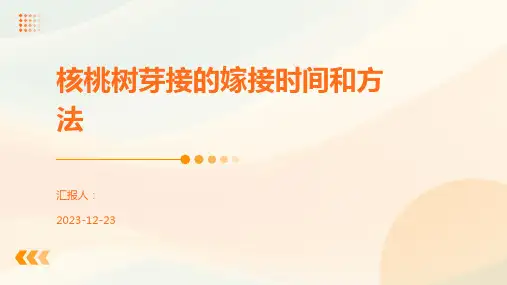 核桃树芽接的嫁接时间和方法