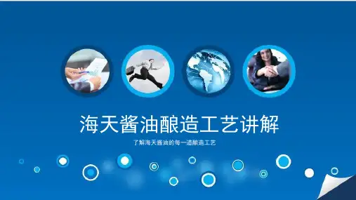 讲解海天酱油酿造工艺流程图