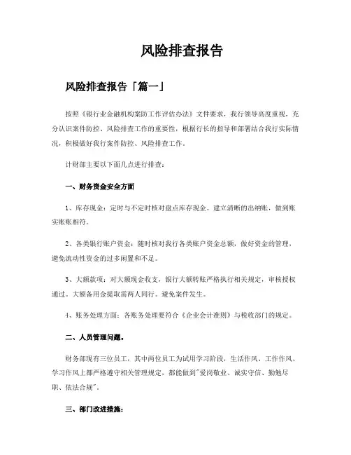 风险排查报告