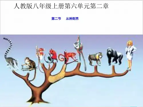 人教版《从种到界》_实用课件
