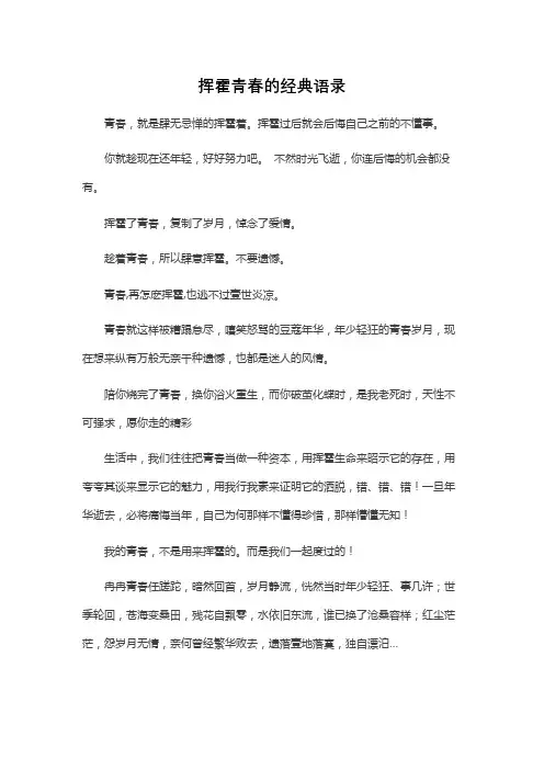 挥霍青春的经典语录
