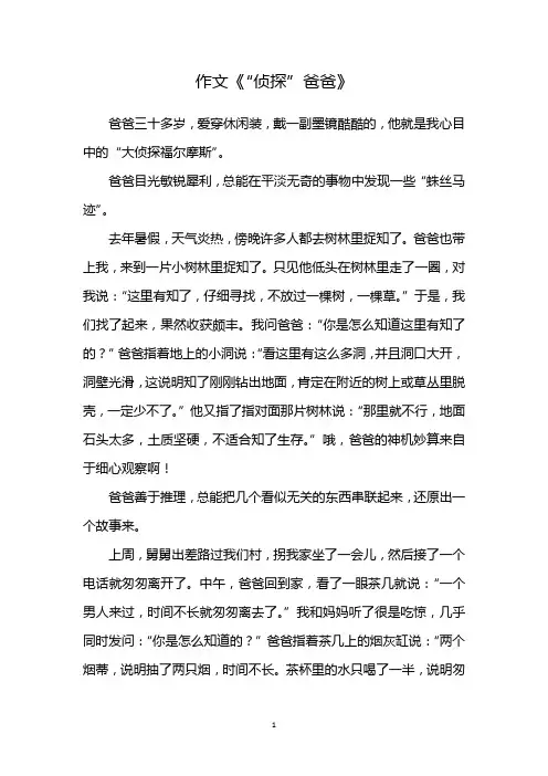 侦探爸爸作文500字