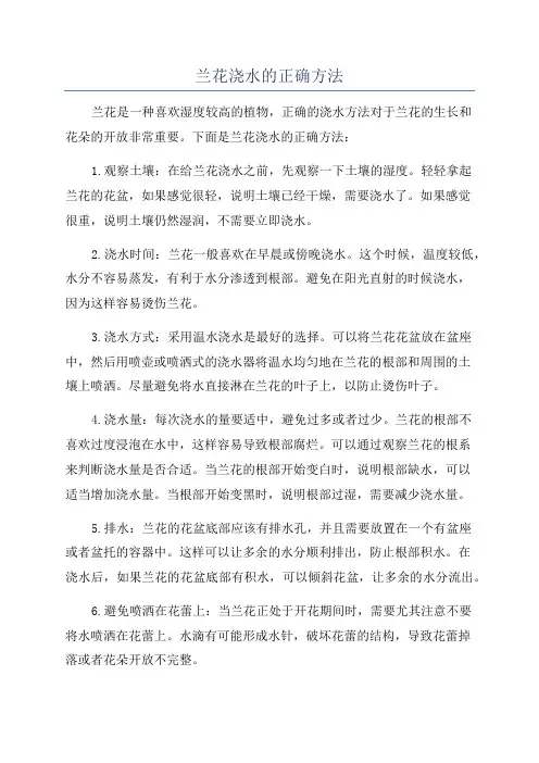 兰花浇水的正确方法