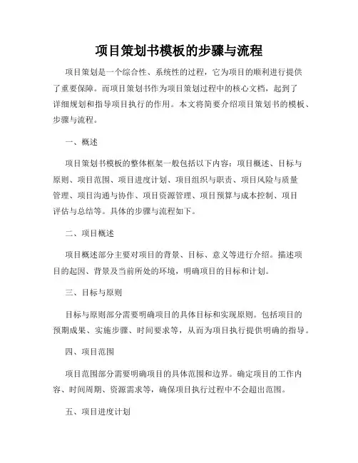 项目策划书模板的步骤与流程