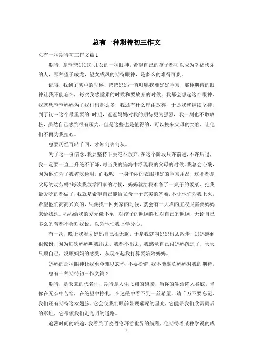 总有一种期待初三作文