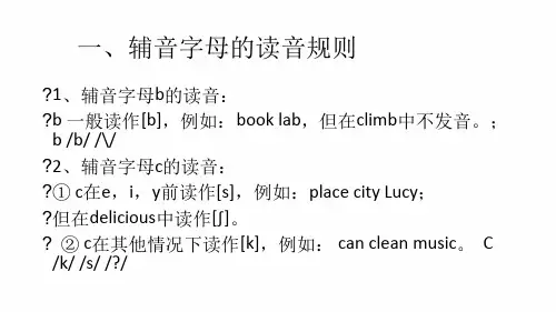 辅音和辅音字母组合发音规则.ppt