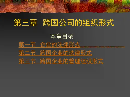 跨国公司ppt课件