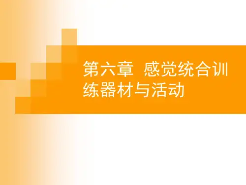 感觉统合训练器材PPT课件