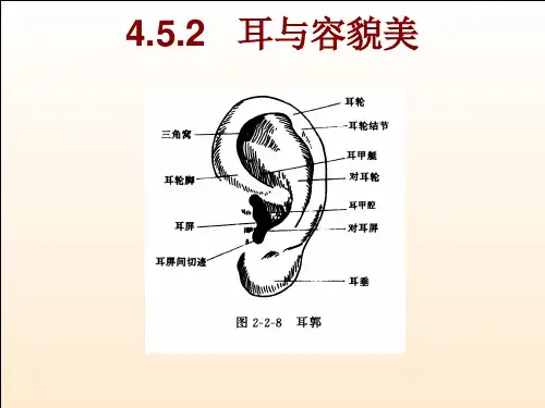 耳