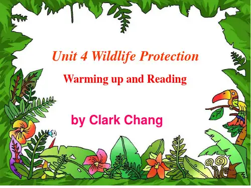 人教版高中英语必修2-UNIT4-Reading 定稿课件常
