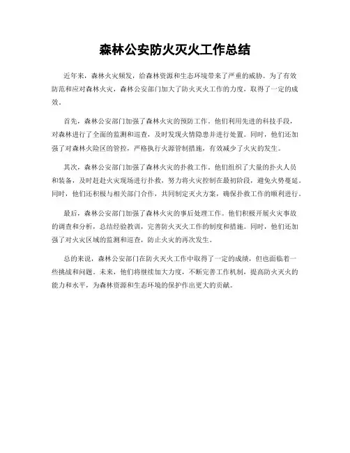 森林公安防火灭火工作总结