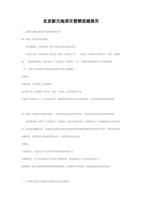 北京新天地项目营销思路报告