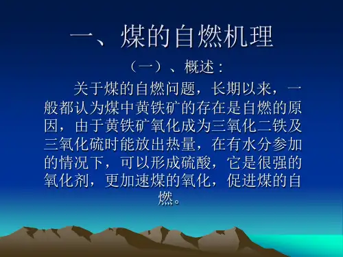 一、煤的自燃机理