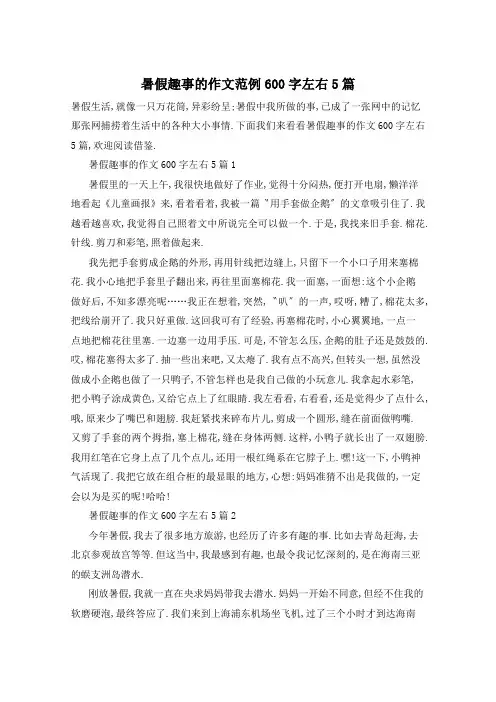 暑假趣事的作文范例600字左右5篇