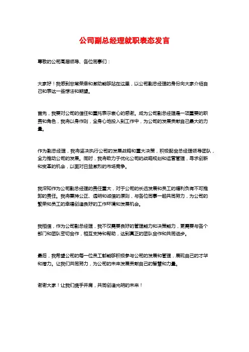 公司副总经理就职表态发言