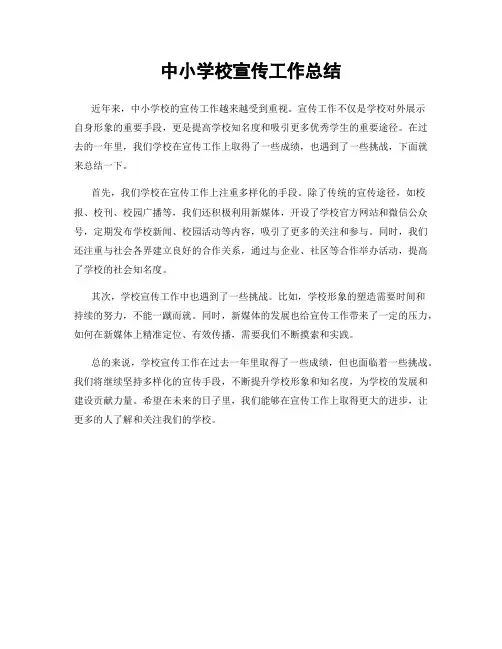 中小学校宣传工作总结
