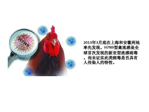 大学生常见传染病的预防知识