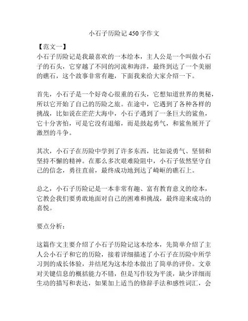 小石子历险记450字作文