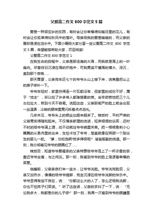 父爱高二作文800字范文5篇