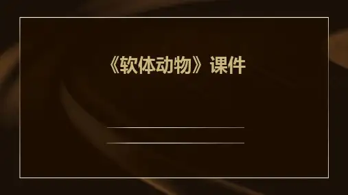 《软体动物》课件
