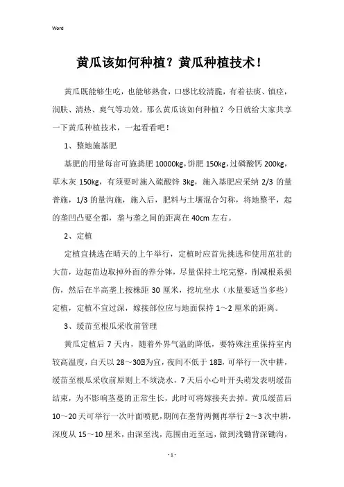 黄瓜该如何种植？黄瓜种植技术!